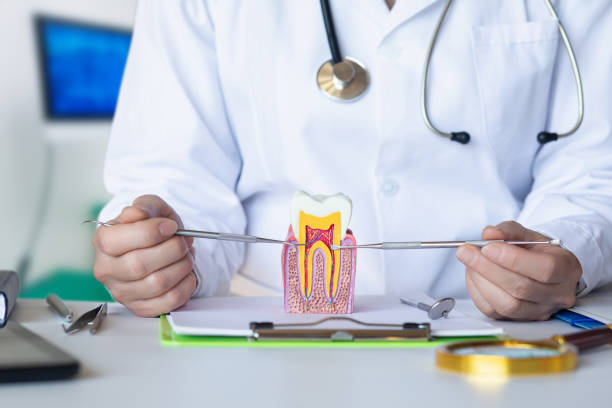 Best Urgent Dental Care for Toothache in White Marsh, MD